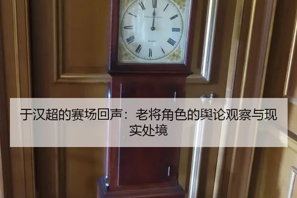 于汉超的赛场回声：老将角色的舆论观察与现实处境